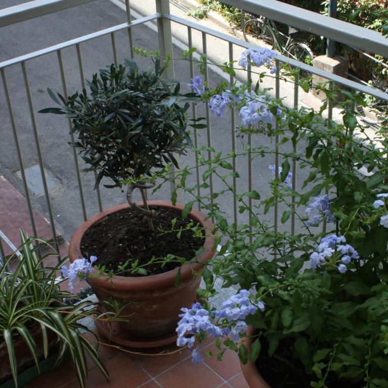 Santa Margherita Ligure Apartment with parking - Appartamento con 2 Camere da Letto - 20
