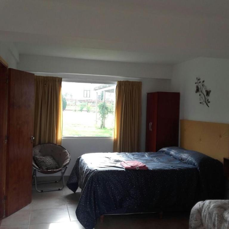 Mini Complejo El Encuentro - Apartamento con vistas al jardín - 4