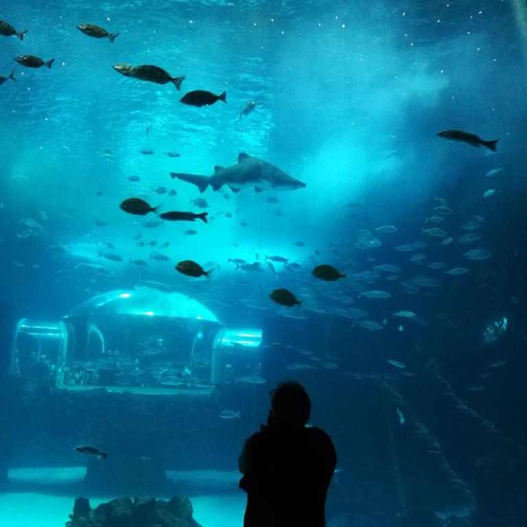 Las Canteras Aquarium - Apartamento de 2 dormitorios - 6