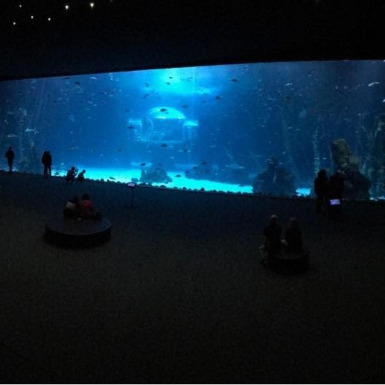 Las Canteras Aquarium - Apartamento de 2 dormitorios - 19