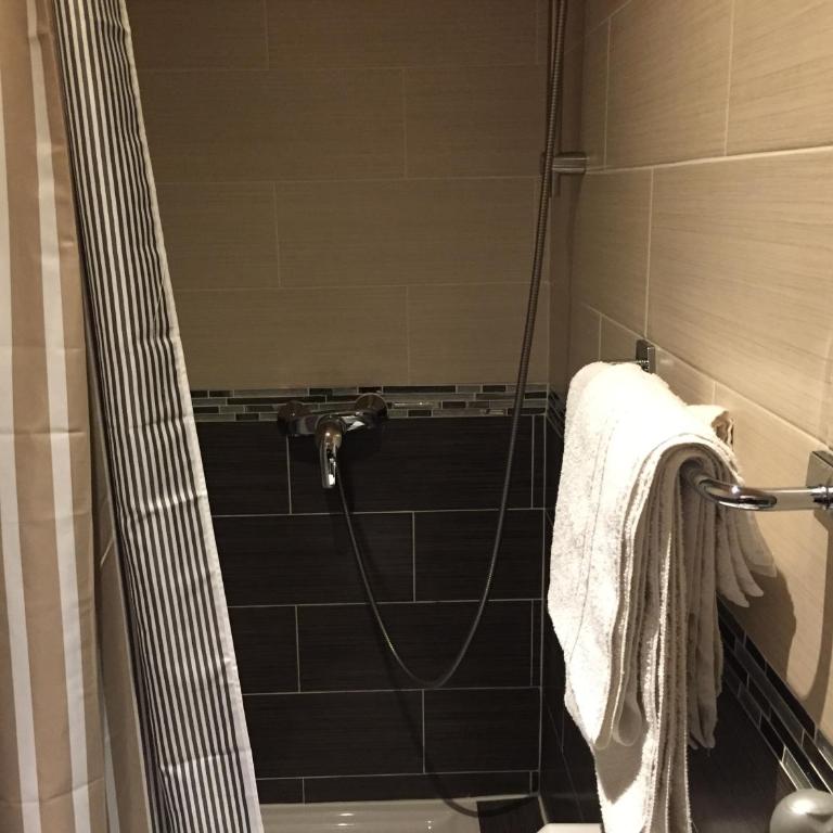 Hôtel De La Perdrix Rouge - Chambre Double avec Douche - 6