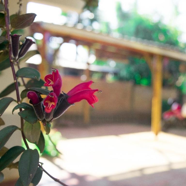 Duplex Macuco - Chalet - 2