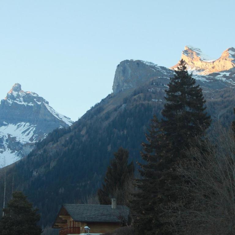 appartement dans le centre thermal les Sources Ovronnaz - Appartement - 10