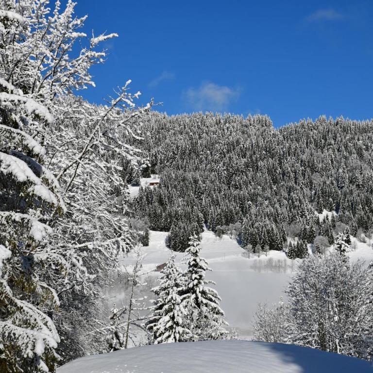 Chalet Orlando - Chalet Superior - 17