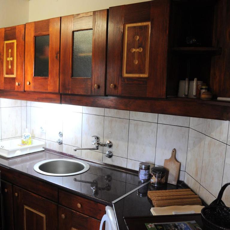 Apartments Carevo Polje - Studio sa Sofom na Izvlačenje - 11