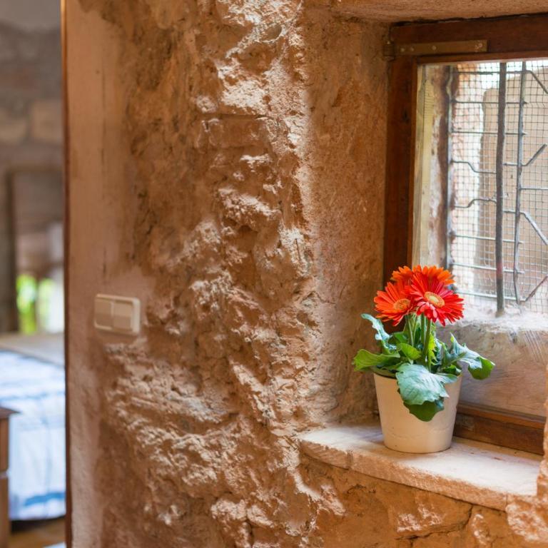 Villa Els Olivers / Olivers Petits - Villa - 15