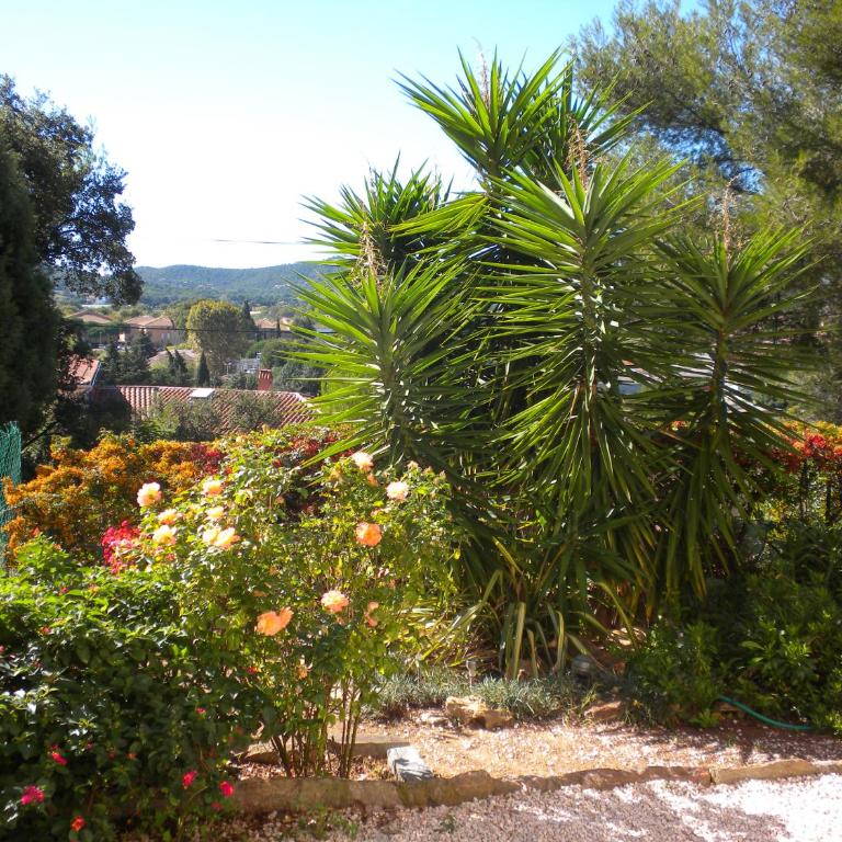 Ecrin de verdure sur Le Lavandou - Classement Tourisme 3 Etoiles - Appartamento - Piano Terra - 5