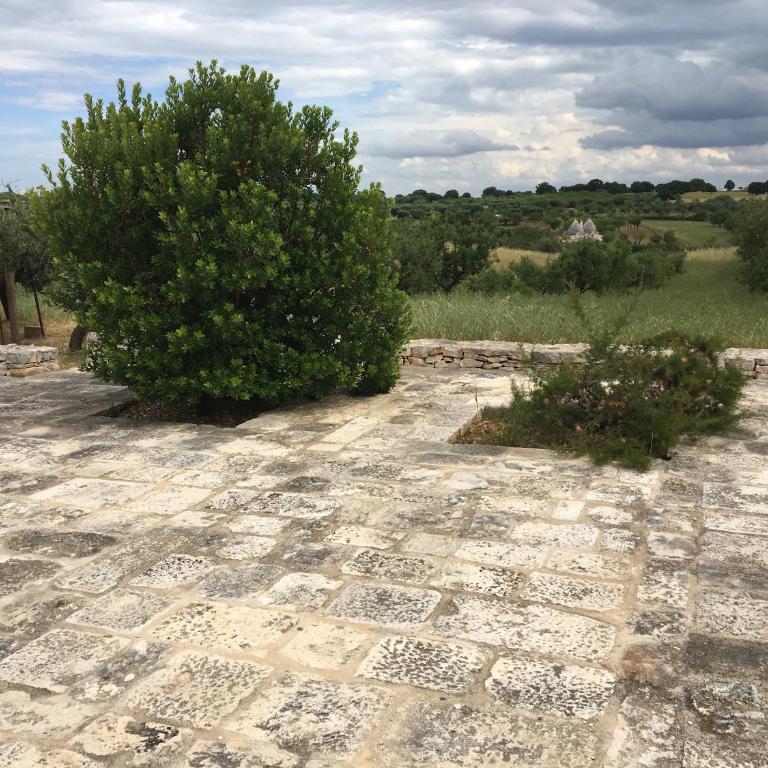 Trulli Lalù - Casa Vacanze - 4