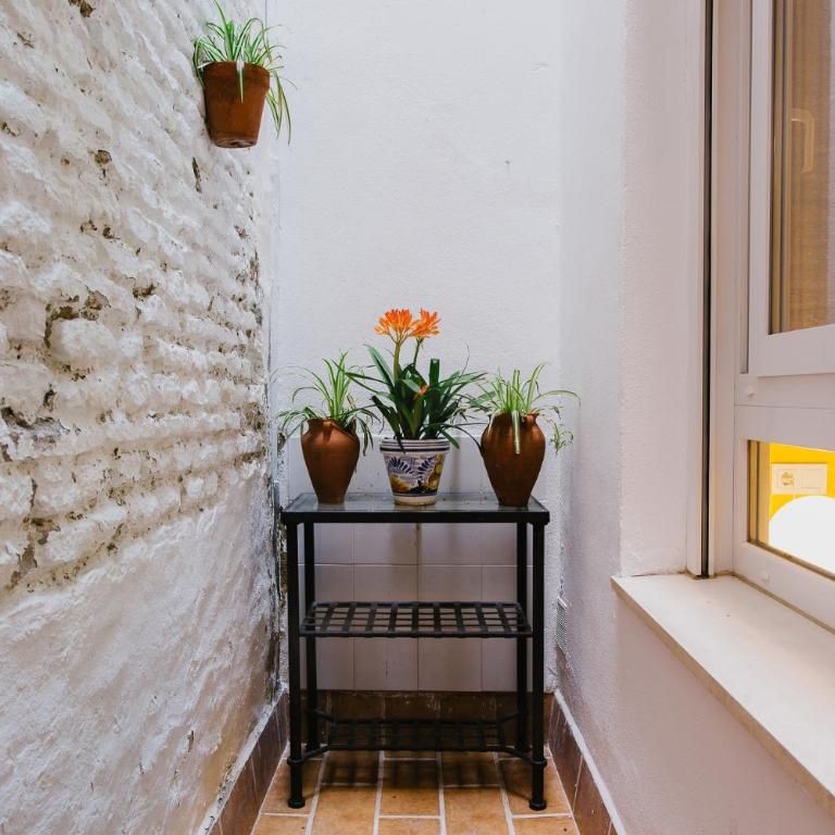 La Accesoria Del Arenal - Apartamento - Planta baja - 25