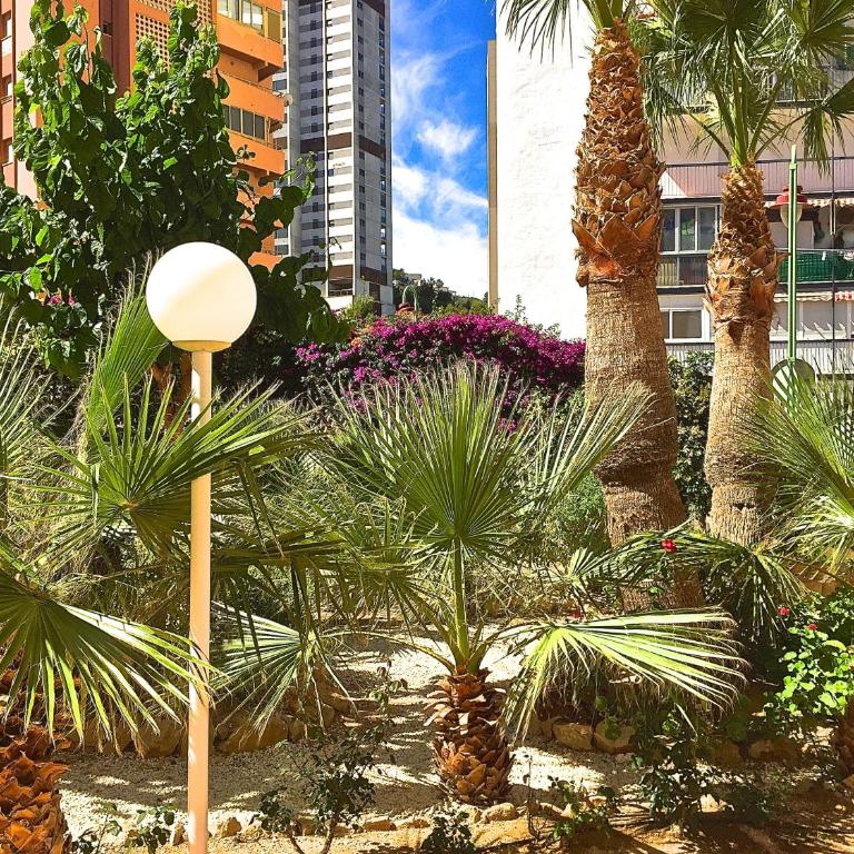 Residence Vacanza Torre Montecarlo - Apartment with Sea View - 21