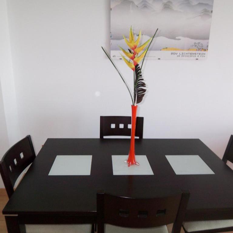 Apt. Alegria - Apartment - 16