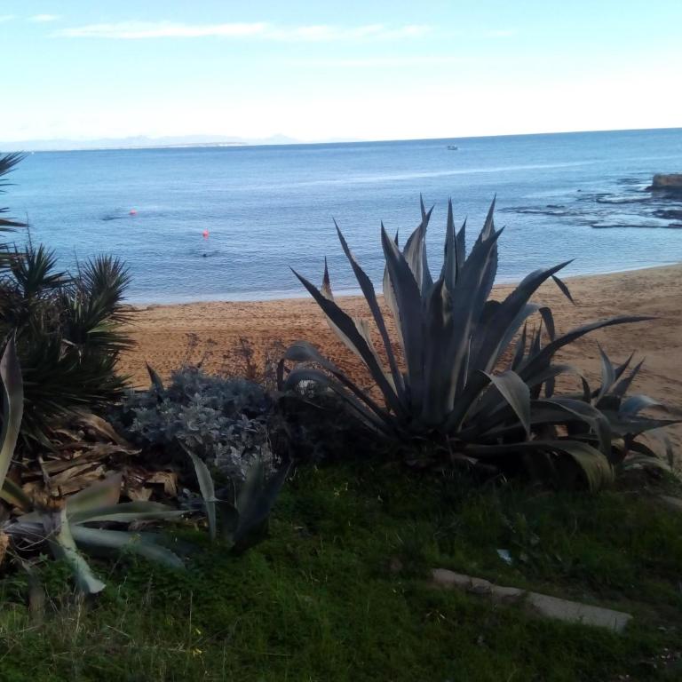 Cabo Cervera Front Sea - Apartamento de 2 dormitorios - 39