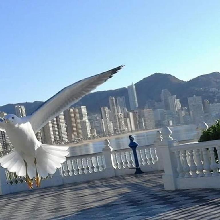 Acuarium Lux - Apartamento - 45