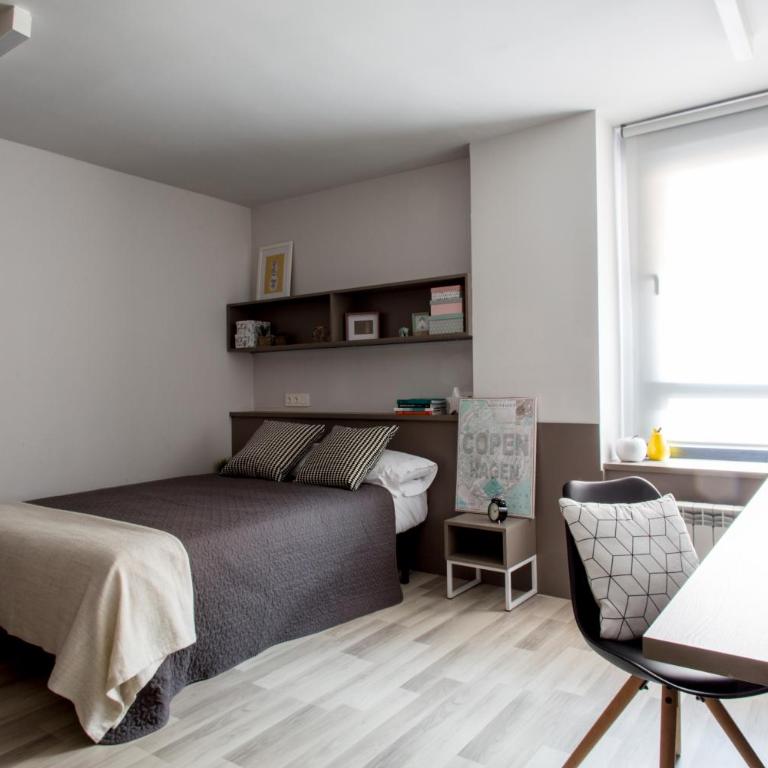 Residencia Universitaria Resa Claudio Coello - Double Studio - 4