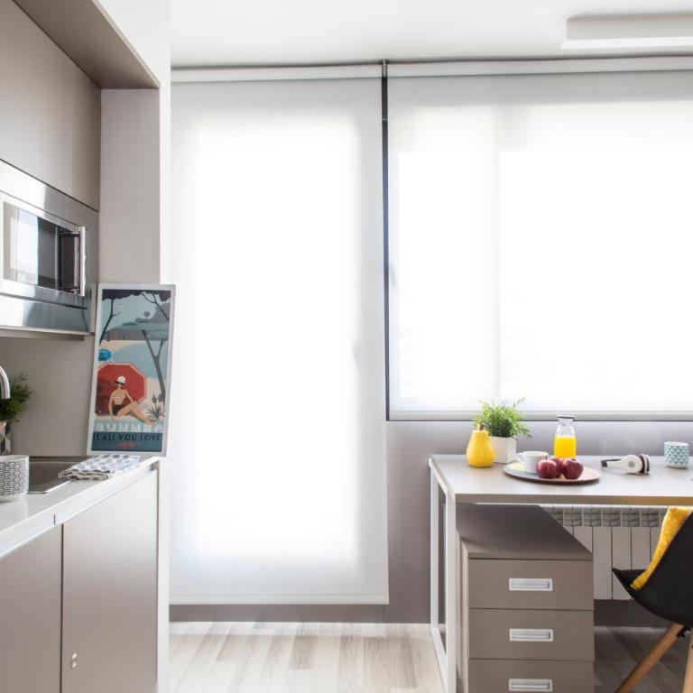 Residencia Universitaria Resa Claudio Coello - Executive Attic Studio with Terrace - 2