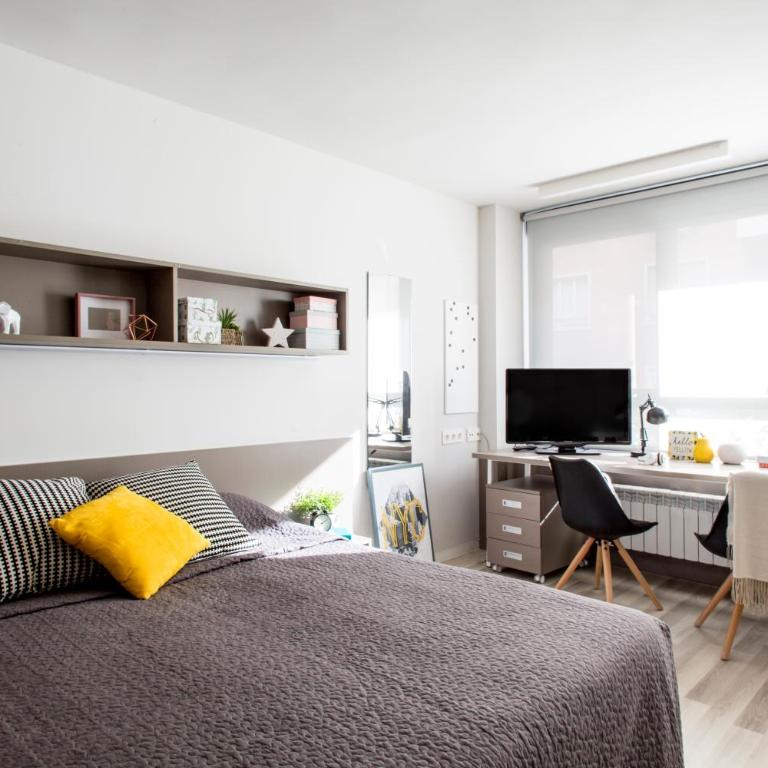 Residencia Universitaria Resa Claudio Coello - Executive Attic Studio with Terrace - 1