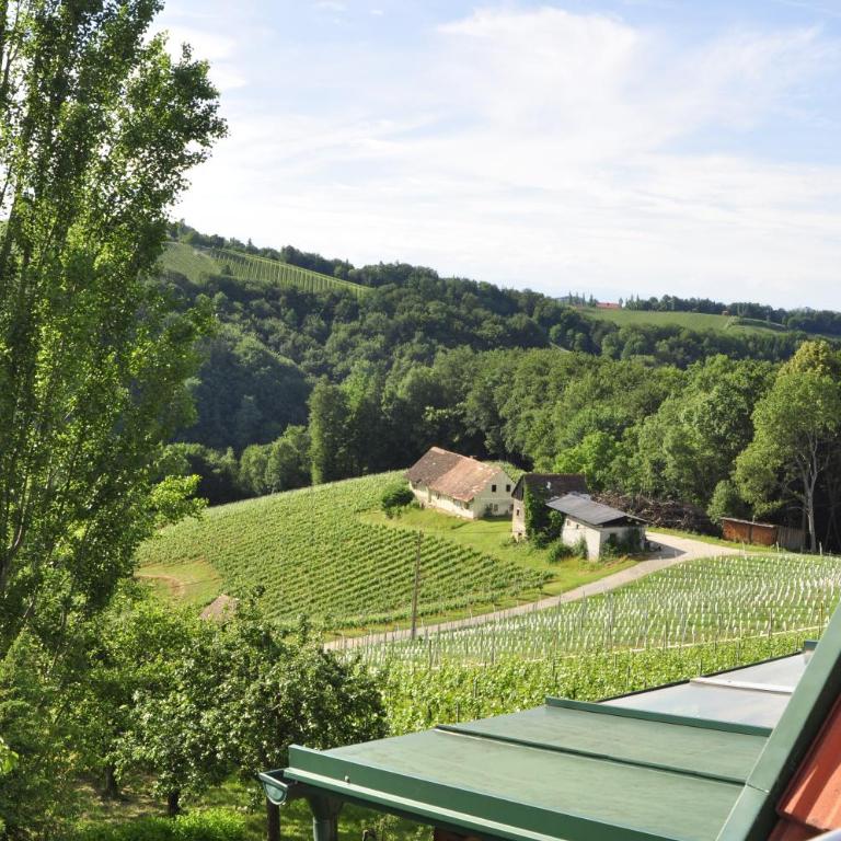 Ferienwohnungen Weingut Familie Danko - Appartamento - 3