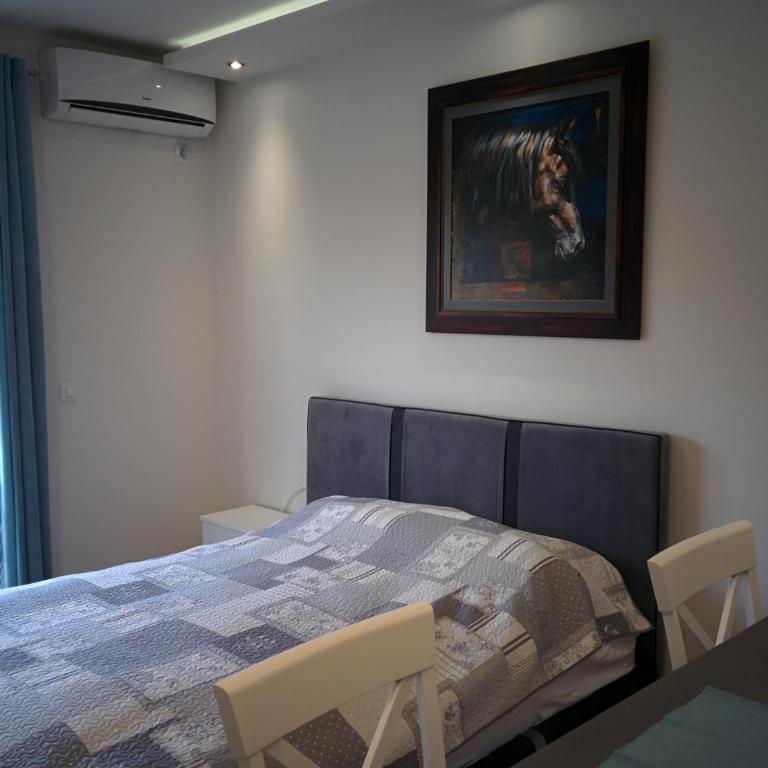 Zaza apartman - Apartman - 2
