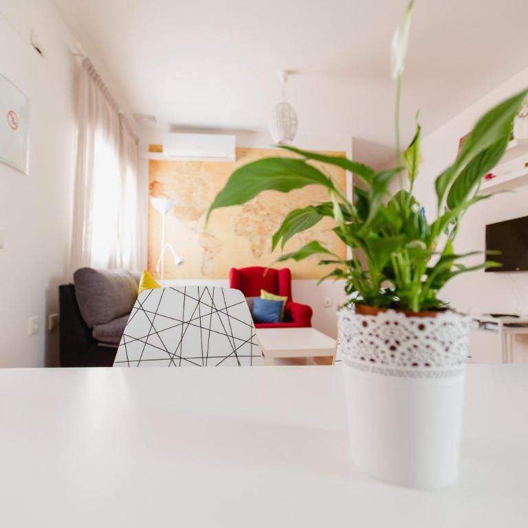 Atico Centro Historico - Apartamento con terraza - 17