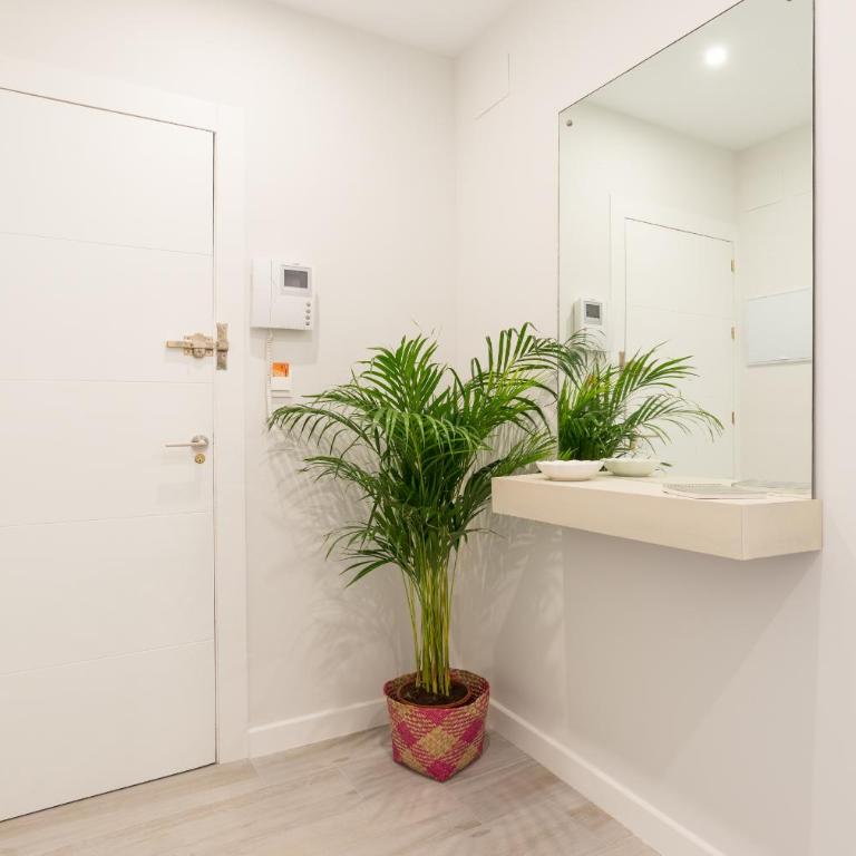 MalagaSuite Premium Deluxe Alameda - Apartamento de 2 dormitorios - 22