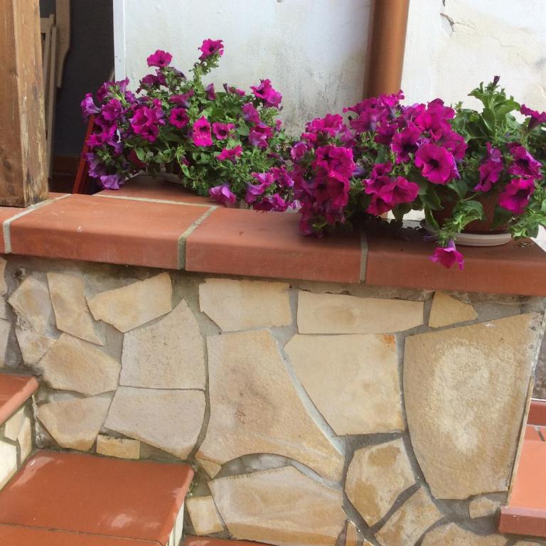 La Spiaggetta Fontane Bianche - Appartement - 39