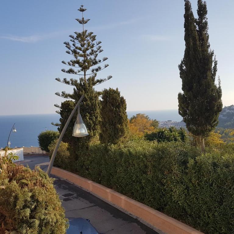 Tropical Andalusian place - Apartamento - 33