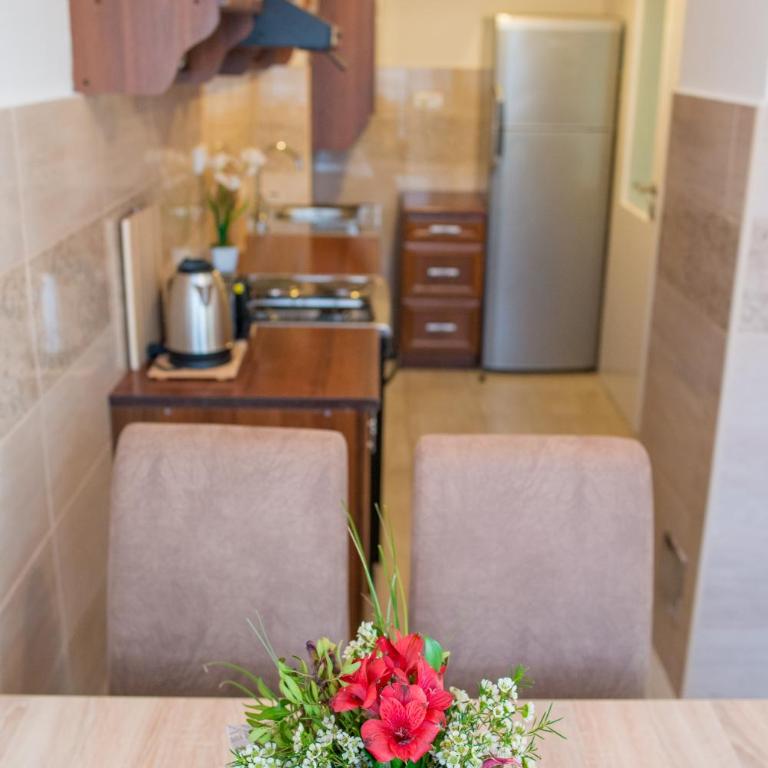 Apartman Andjela - Apartment - 8