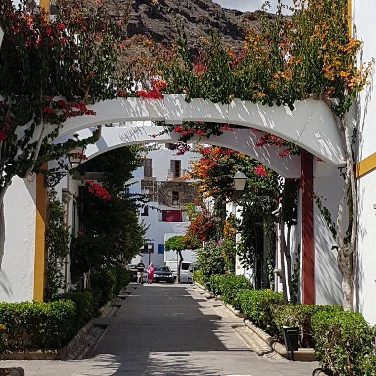 Paraiso Puerto de Mogan - Apartamento de 1 dormitorio - 25