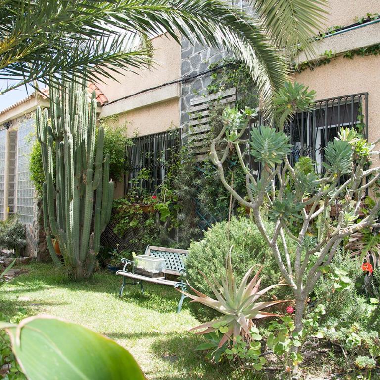 Casa El Drago-TAFIRA BAJA - Habitación Individual Económica - 5