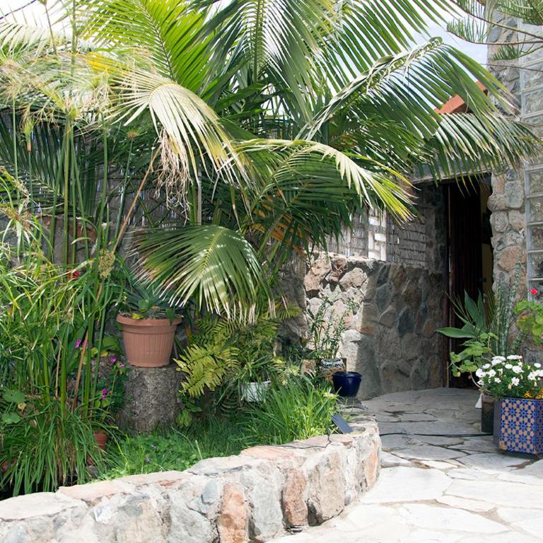 Casa El Drago-TAFIRA BAJA - Habitación Doble con vistas al mar - 1