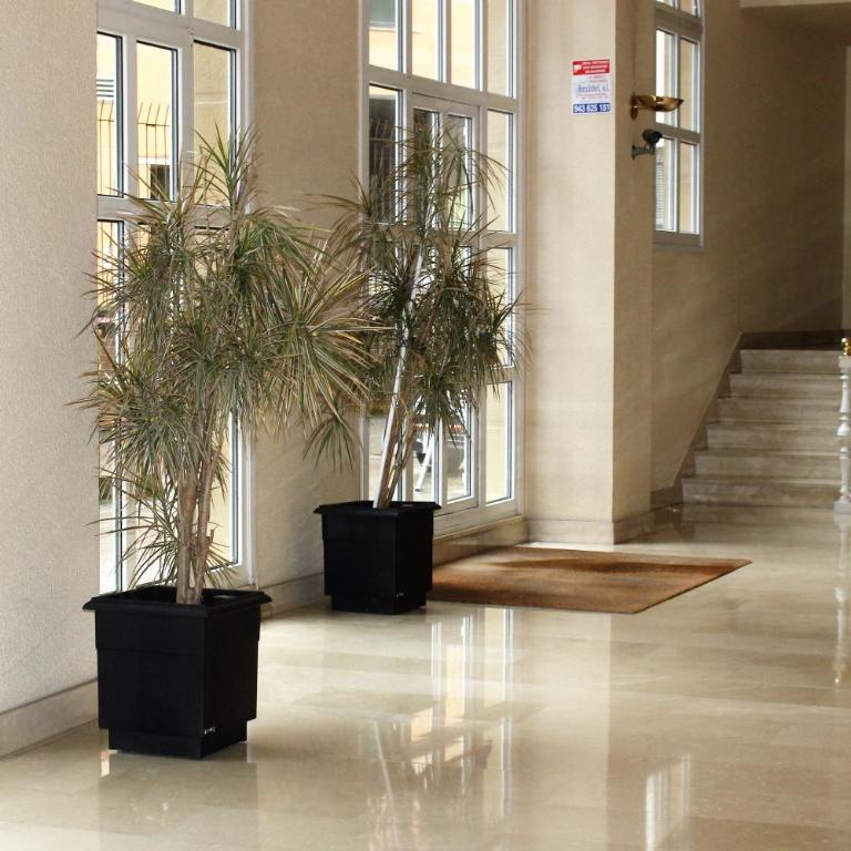 Plaza Pio XII - Apartamento - 13