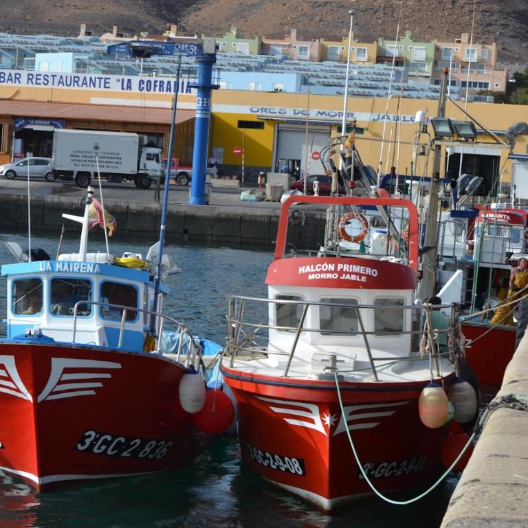 Fuerteventura Port Sea - Apartamento - 17