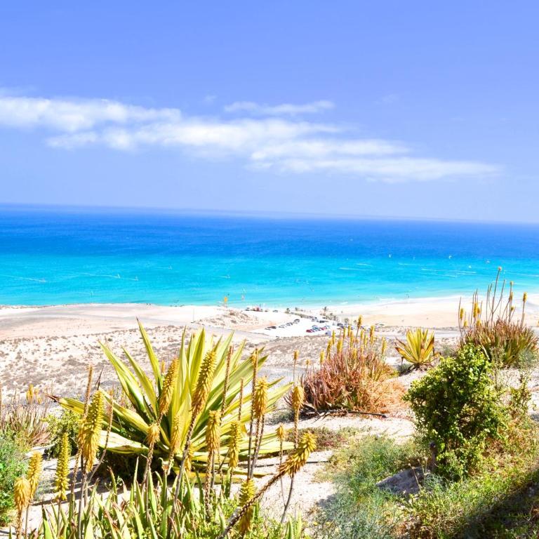 Residencial Playa Paraiso - Apartamento Superior con jardín - 6
