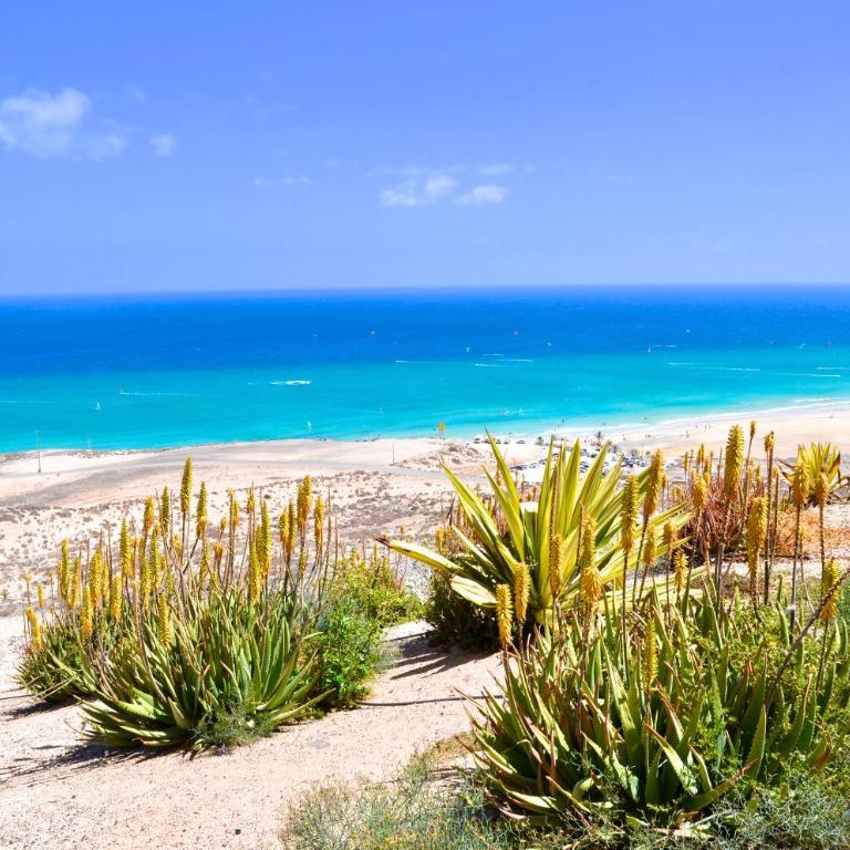 Residencial Playa Paraiso - Apartamento Superior con jardín - 47