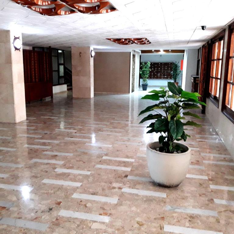 Canteras Playa Mc - Apartamento Estudio - 35