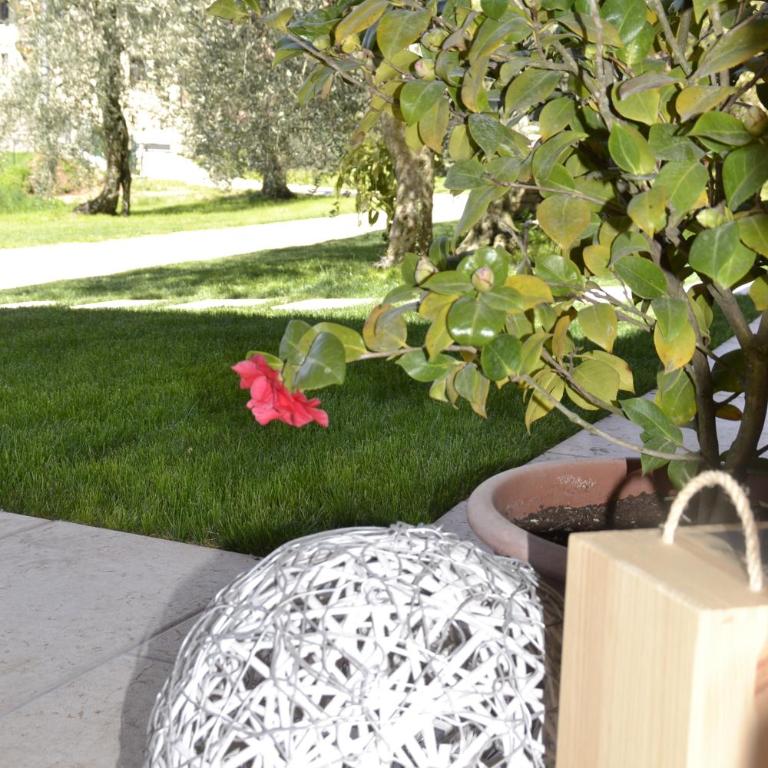 "Villa Giulia Nicole" Apartaments- Country House - Appartamento Deluxe - 6
