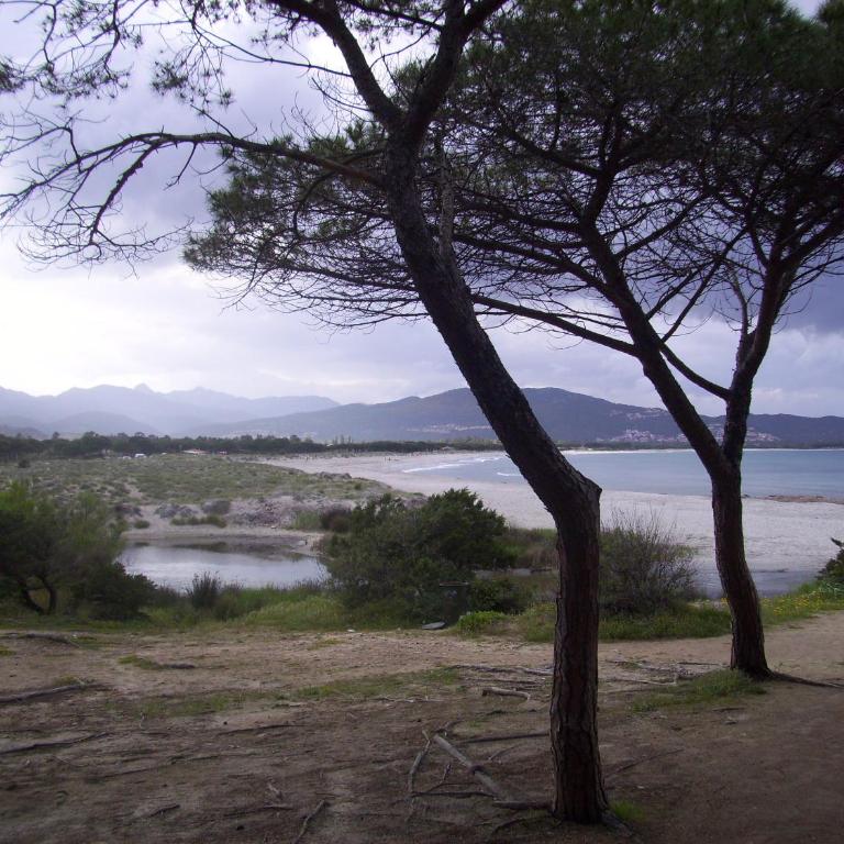 VILLA A 200 METRI DALLA SPIAGGIA - Casa Vacanze - 59