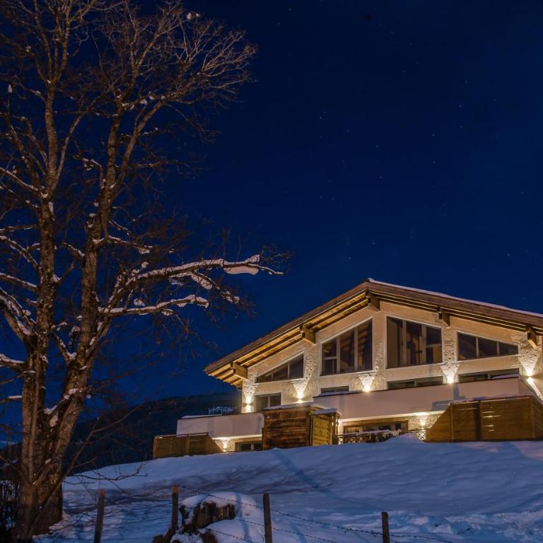 Bergerhof Alpin Lodge - Apartment mit 2 Schlafzimmmern und eigenem Pool - 4