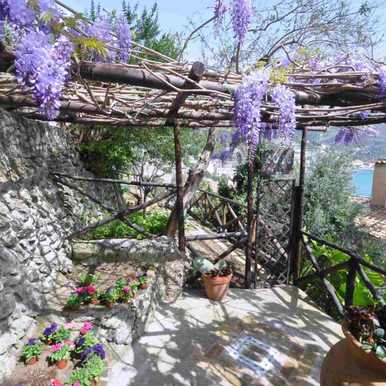 Star Fish House - Two-Bedroom House - 50