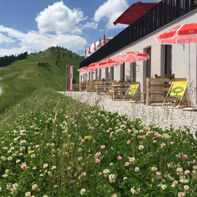 Schmiedhof Alm - Doppelzimmer - 1