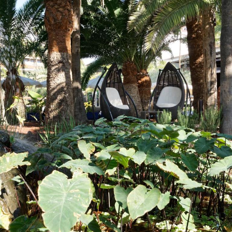 Hotel Parque Tropical - Habitación cuádruple - 3