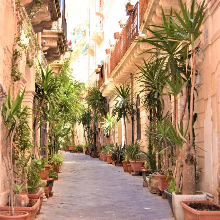 IL MORO holiday home - Appartamento - 54
