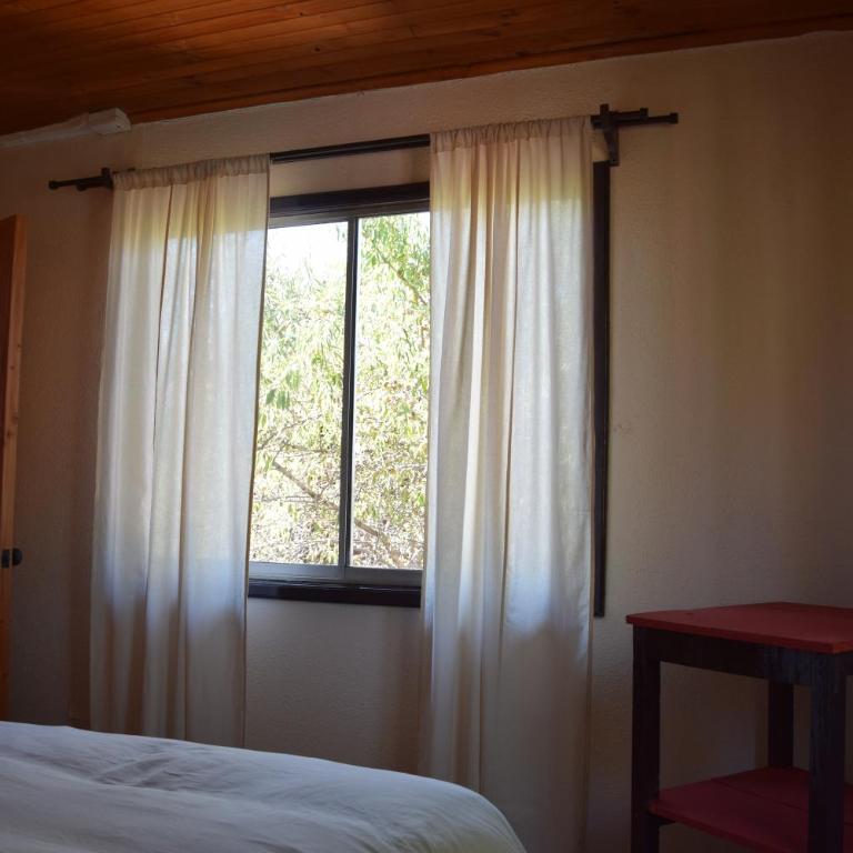 Eco-Hostal Tambo Verde - Habitación Doble con baño compartido - 4