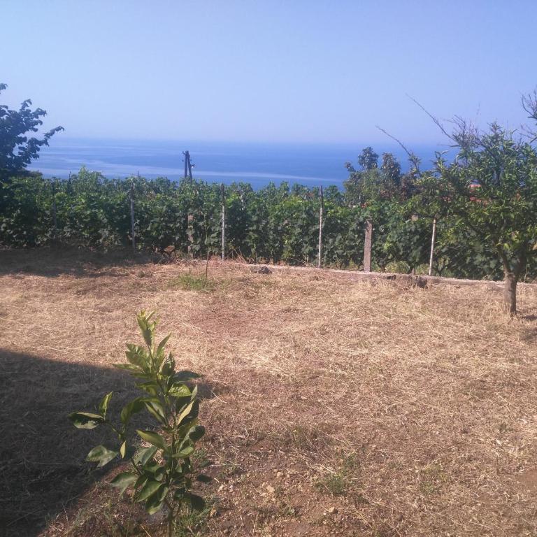 Poborska Villa - Villa with Sea View - 39