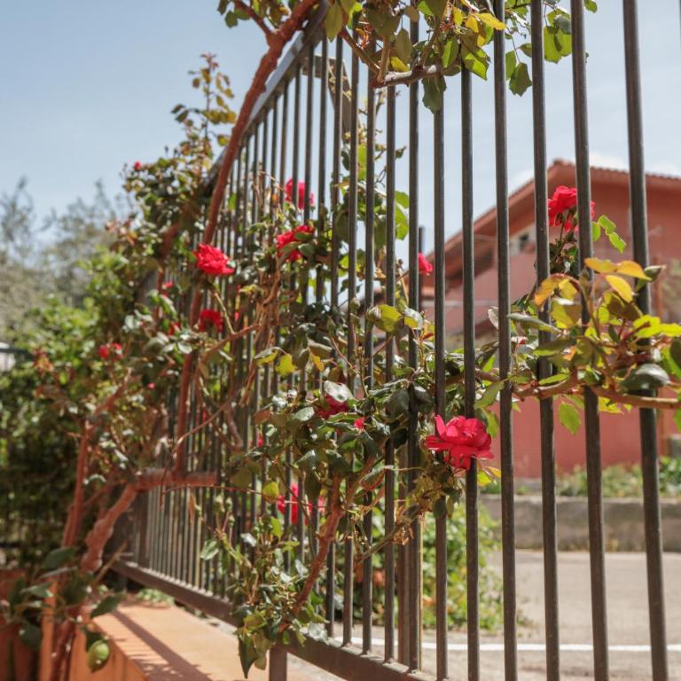Seascape Terrace - Appartamento con 4 Camere da Letto - 76