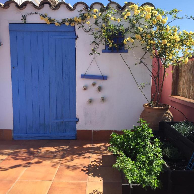 Atico Deluxe San Basilio - Apartamento - 22