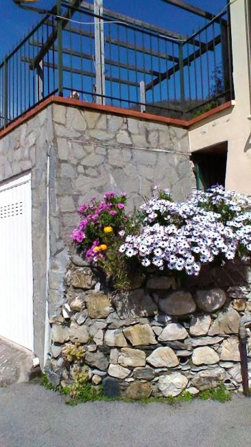 Appartamento Bellavista - Appartamento Standard - 15