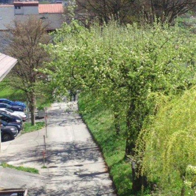 Landhaus Lindner Appartements - Apartment mit 5 Schlafzimmern und Bergblick - 29