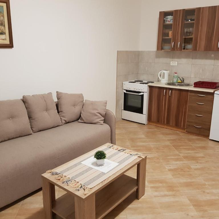 Apartments Lazarević - Apartman sa Terasom - 12
