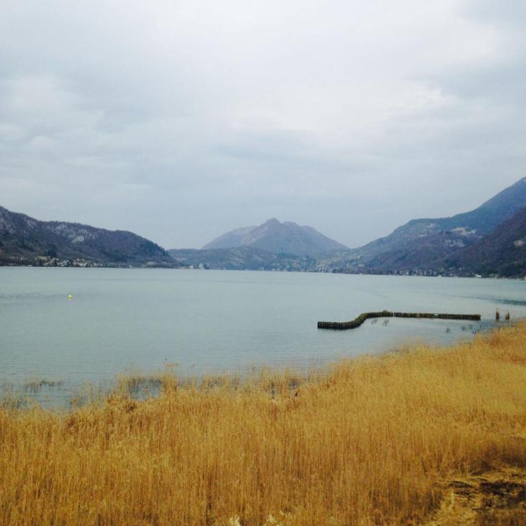 Appartement pieds dans l'eau - Appartement - Vue sur Lac - 23